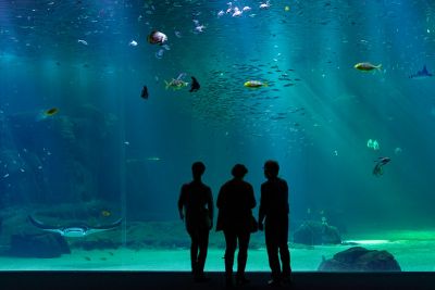 hotel proche nausicaa